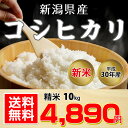 【送料無料】新潟県産 コシヒカリ 10kg(精米)【平成30...