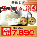 【送料無料】新潟県産 こしいぶき 20kg(精米)【平成30...