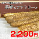 【冬のギフト】長いも〔ファミリー〕 5kg折れ・平芋など 【...