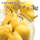 【予約受付開始】新潟の洋梨 ル・レクチェ3kg(9個前後)【冬ギフト】