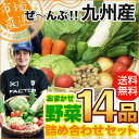 【送料無料】鹿児島からクール便でお届け「九州産 /14品 野菜セット詰め合わせ」【クール便】