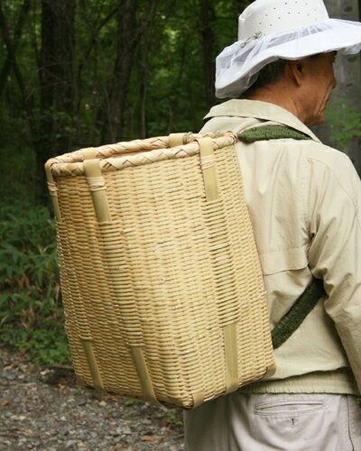 ںΤꡦΤ˽гݤ褦ݤ餤(åž夲Ȣ)34Xޥ23X⤵45cm1500g礤Ƥˤ㴳ۤʤޤ