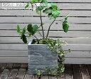 レンガ調プランター プランター 花壇 レンガ調 オシャレ 鉢植え ガーデン GRIS TERRE