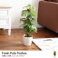 Fresh Pole Pothos フレッシュポールポトス 人工植物 光触媒 観葉植物 お手入れ不要 リアル 水やり不要 グリーン