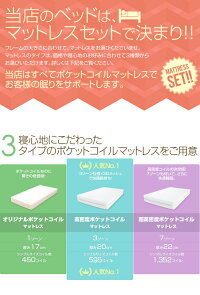 Alloys(アロイス)日本製フレーム引き出し付きベッド(シングル)ホワイト【フレームのみ】