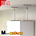 ふんばりくん Mタイプ 25cm〜32cm 2本セット つっ...