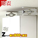 ふんばりくん Zタイプ 10cm〜20cm 2本セット つっ...