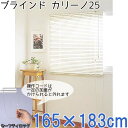ブラインド カリーノ25 175x98アイボリー【TD】【代引不可】【送料無料】【取り寄せ品】 新生活