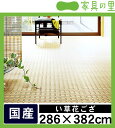 い草 ラグ い草花ござ い草カーペット「小町(こまち)」本間6畳(286×382cm)添島勲商店い草上敷き