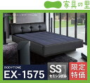 特価フレームウォーターベッドハードサイド セミシングルサイズ(1バッグ)BODYTONE-EX1575