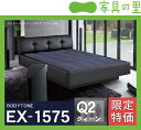 特価フレームウォーターベッドハードサイド クイーンサイズ(2バッグ)BODYTONE-EX1575 ※代