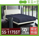 特価フレームウォーターベッドソフトサイド セミダブルサイズ(1バッグ)BODYTONE-SS1175ST