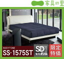 特価フレームウォーターベッドソフトサイド セミダブルサイズ(1バッグ)BODYTONE-SS1575ST