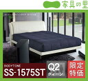 特価フレームウォーターベッドソフトサイド クイーンサイズ(2バッグ)BODYTONE-SS1575ST