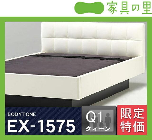 特価フレームウォーターベッドハードサイド Qクイーン（1バッグ）BODYTONE-EX1575※代引き不可