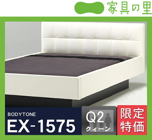 特価フレームウォーターベッドハードサイド Qクイーン（2バッグ）BODYTONE-EX1575※代引き不可