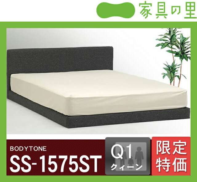 特価フレームウォーターベッドソフトサイド クイーンサイズ（1バッグ）BODYTONE-SS1575ST※代引き不可