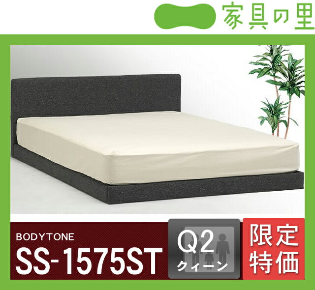 特価フレームウォーターベッドソフトサイド クイーンサイズ（2バッグ）BODYTONE-SS1575ST※代引き不可