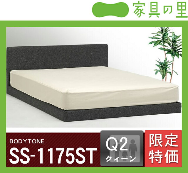 特価フレームウォーターベッドソフトサイド クイーンサイズ（2バッグ）BODYTONE-SS1175ST※代引き不可