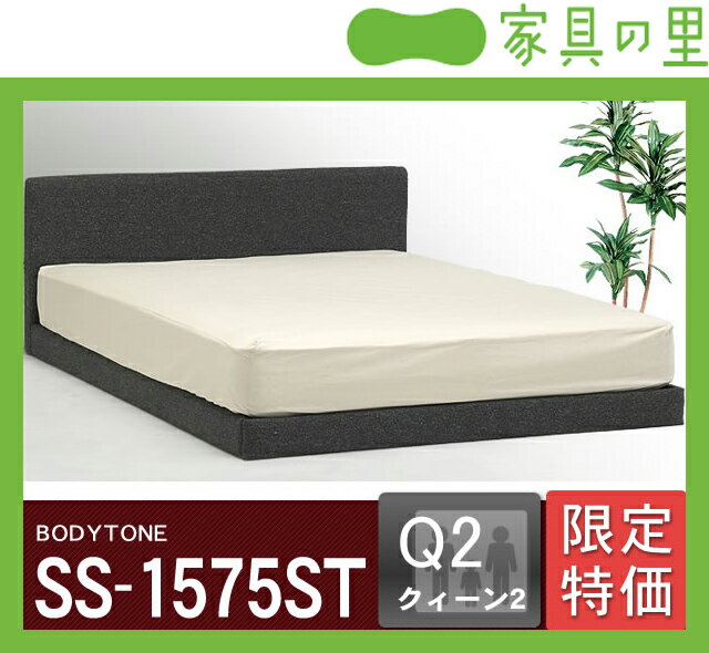 特価フレームウォーターベッドソフトサイド クイーン2サイズ（2バッグ）BODYTONE-SS1575ST※代引き不可ウォーターベッドお買い得フレーム！