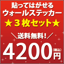 ウォールステッカー お買得！3枚セット （ 激安 インテリア 壁シール ）【送料無料！】【tg-w3】