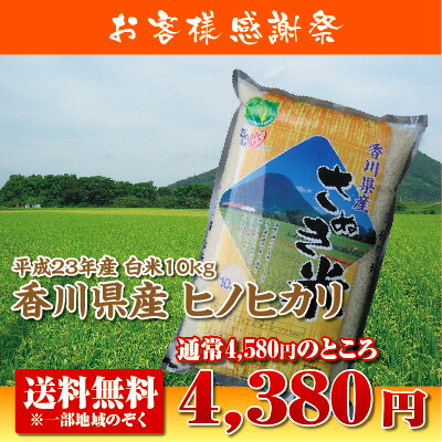 【送料無料】香川県産ヒノヒカリ白米10kg【ひのひかり】【あす楽対応】【after0608】人気の西日本産