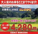 兵庫県但馬産コシヒカリ10kg【こしひかり】【たじま産】