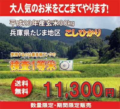 兵庫県たじまコシヒカリ玄米30kg【送料無料】【こしひかり】【精米料無料】