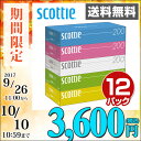 日本製紙クレシア スコッティ (SCOTTIE)