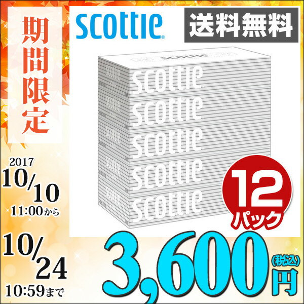 日本製紙クレシア スコッティ (SCOTTIE) ティッシュペーパー 200組5箱×12パック(60箱) 41735 ティシュペーパー まとめ買い ケース販売 ボックスティッシュ 日用品 【送料無料】