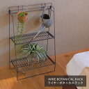 ワイヤーボタニカルラック フラワースタンド 観葉植物 WW-WBR ボタニカルラック ラック シェルフ 飾り棚 花置き 鉢置き フラワーラック ハンギンググリーン インテリアグリーン スチール製 シンプル おしゃれ 新生活 コレンド COLLEND 【送料無料】