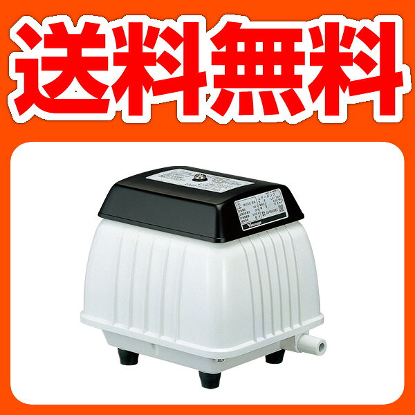 ڥӥ塼ǥݥ2ܡ̵ۡ ± żݥסǽѥ LP-40Aȥå  SALEsmtb-tdۡ2P_0119