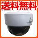 大進(ダイシン) センサーライト/LED/電池式/屋内 【ドアの番人】 DLB-400 ホワイト LEDセンサーライト 防犯ライト センサー付ライト 人感センサー 【送料無料】