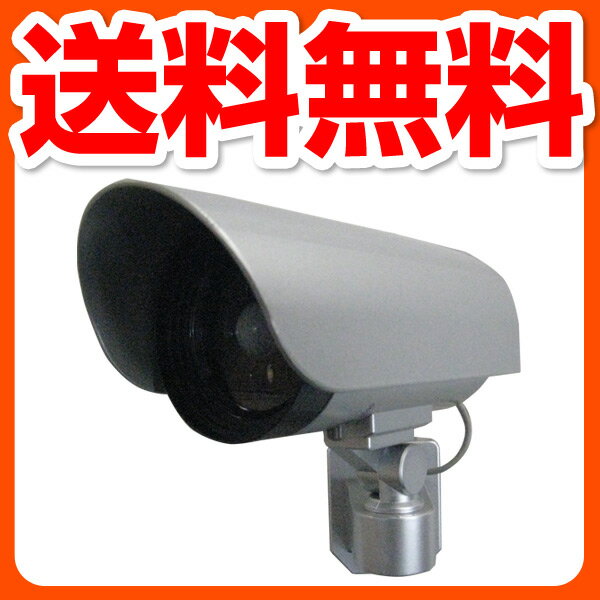 大進(ダイシン) センサーライト/LED/電池式/屋内外/カメラ型 DLB-K500 シル…...:kagustyle:10018364