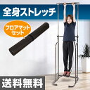 ぶら下がり健康器&フロアマット お買い得セット BBK-220(DBR)/EXP100 ぶら下がり健康機 ぶらさがり健康器 健康ぶら下がり器 全身ストレッチ 【送料無料】山善/YAMAZEN/ヤマゼン 1011P
