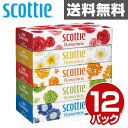 日本製紙クレシア スコッティ (SCOTTIE)