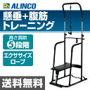 アルインコ(ALINCO) マルチ懸垂マシン FA917 懸...