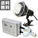 ゼンスイ SOLAR RAPTOR HIDランプ 50W ソーラーラプター ソーラーラプターHIDランプ 50W用安定器 クランプランプ 【送料無料】