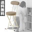 折りたたみチェア 背もたれ付き YZX-45F(BR) ブラウン パイプチェア 折り畳みチェア 折畳 折畳み チェア 椅子 イス いす チェアー 【送料無料】 山善/YAMAZEN/ヤマゼン 0914P
