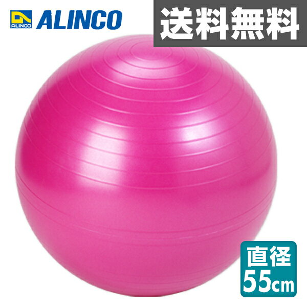アルインコ(ALINCO) エクササイズボール 55cm エアポンプ付 EXG124P ピンク バラ...:kagustyle:10018868