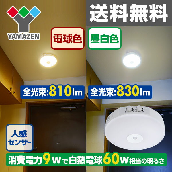 LEDミニシーリングライト(人感センサー付)昼白色相当白熱電球60W相当 830ルーメン …...:kagustyle:10021894