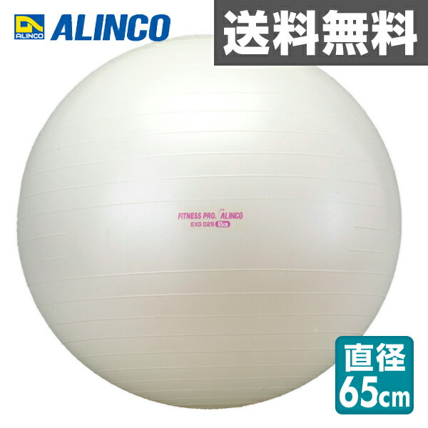 アルインコ(ALINCO) エクササイズボール(65cm) EXG025 【送料無料】