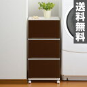 サンカ(SANKA) コレクトチェスト LW 3段 SQC-LW3BR 衣装ケース 引き出し プラスチック 【送料無料】 0822P