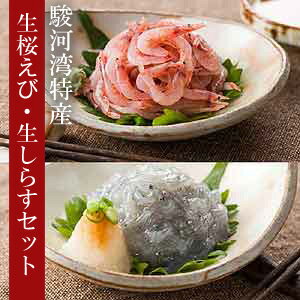 【翌日配送】生なまセット！《生桜えび・生しらす》「海鮮丼のたれ」プレゼント！【あす楽対応_東北】【あす楽対応_関東】【あす楽対応_甲信越】【あす楽対応_北陸】【あす楽対応_東海】【あす楽対応_近畿】【あす楽対応_中国】【あす楽対応_四国】【あす楽対応_九州】楽天ランキング第1位★【由比産】【送料無料】大幅増量※冷凍便でお届け※