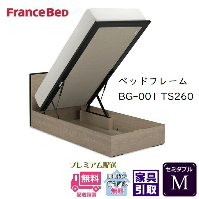 フランスベッド BG-001-260TS セミダブル【開梱組み立て設置無料】跳ね上げベッドBG-001 縦跳ね上げ TS260