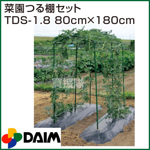 第一ビニール 菜園つる棚セット TDS-1.8 8