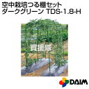 第一ビニール 空中栽培つる棚セット ダークグリーン TDS-...
