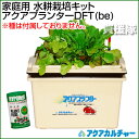 水耕栽培キット アクアプランターDFT(be)(肥料付) 【水気耕栽培 家庭用 家庭菜園 野菜 ハーブ 花 プランター 栽培キット 野菜】【おしゃれ おすすめ】 [43]