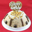 アイスクリーム・ジェラート チョコレートアイスケーキ【お誕生日・お誕生日アイスケーキ】【お誕生日アイスケーキ・宅配ケーキ】