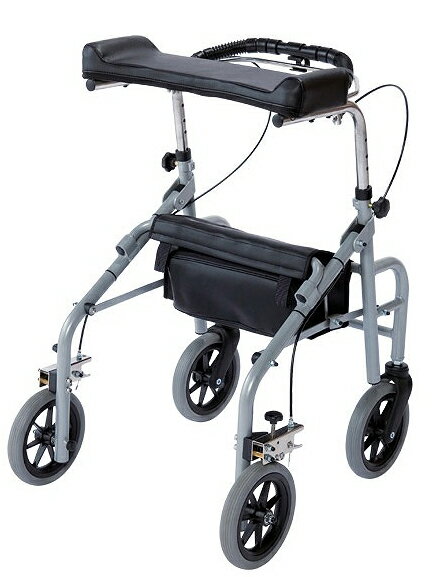 ȾȤ򤢤⤱뤫­ôڸѡȥʡ֡ӥåȡWA-235